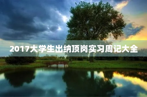 2017大学生出纳顶岗实习周记大全 2017大学生出纳顶岗实习周记大全