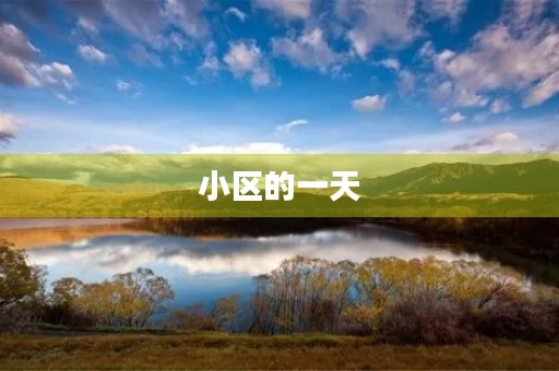 小区的一天 小区的一天