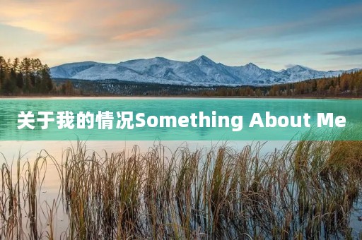 关于我的情况Something About Me