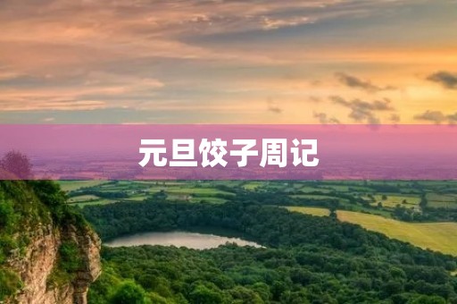 元旦饺子周记