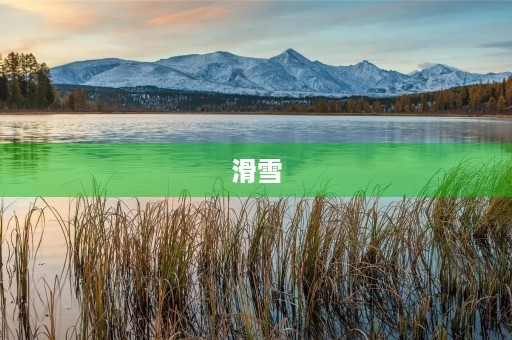 滑雪 滑雪