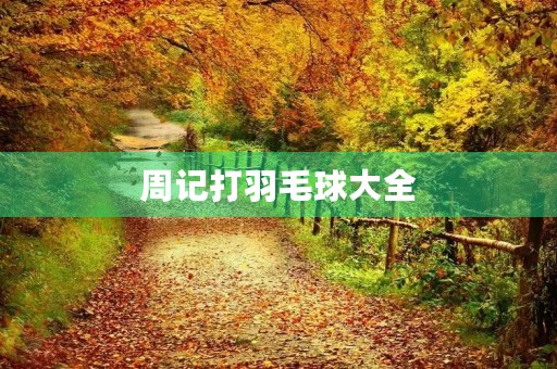 周记打羽毛球大全 周记打羽毛球大全