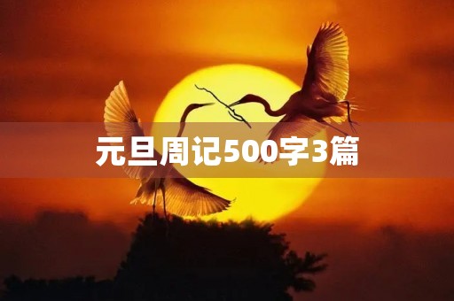 元旦周记500字3篇 元旦周记500字3篇