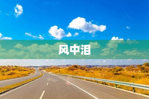 风中泪 风中泪