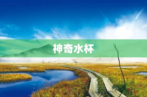 神奇水杯 神奇水杯