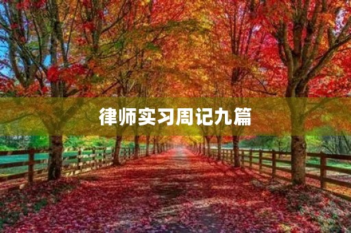 律师实习周记九篇 律师实习周记九篇