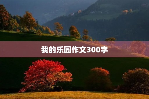 我的乐园作文300字 我的乐园作文300字