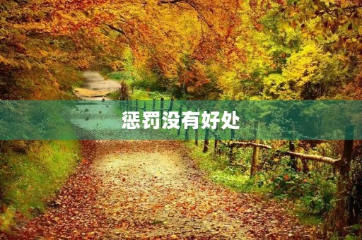 惩罚没有好处