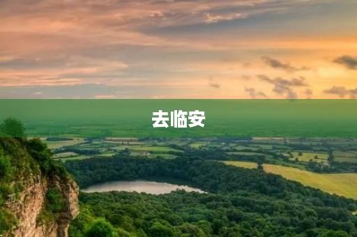 去临安