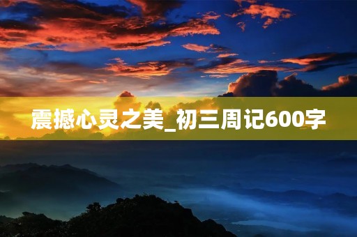 震撼心灵之美_初三周记600字
