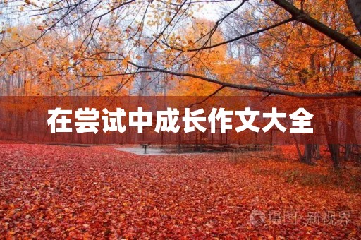 在尝试中成长作文大全