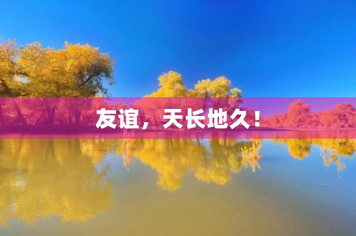 友谊,天长地久! 友谊,天长地久!