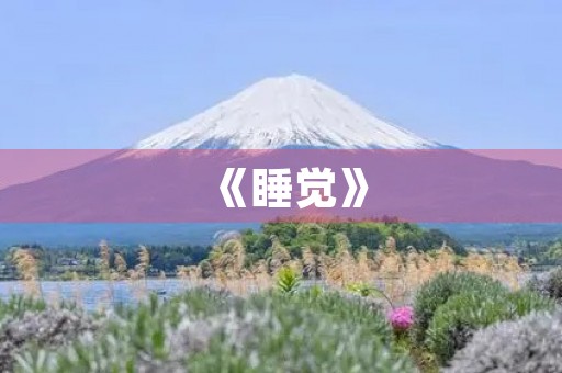 《睡觉》