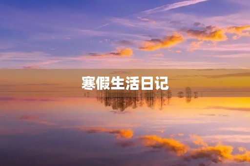寒假生活日记 寒假生活日记
