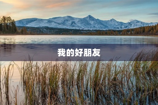 我的好朋友 我的好朋友