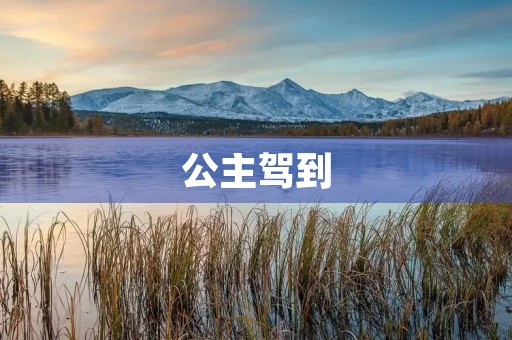 公主驾到