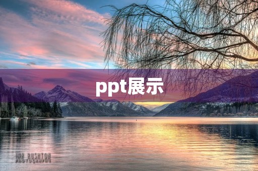 ppt展示