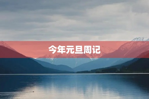 今年元旦周记