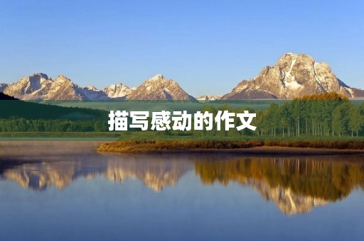 描写感动的作文