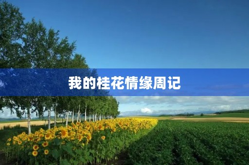 我的桂花情缘周记 我的桂花情缘周记
