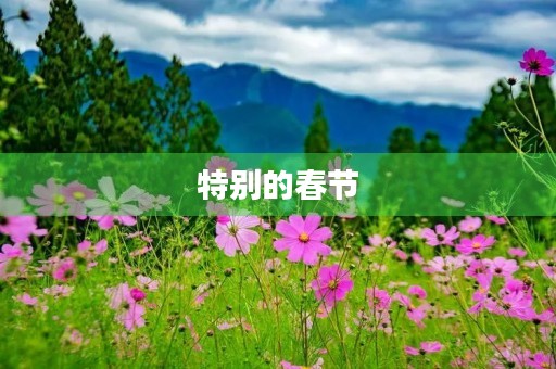 特别的春节 特别的春节