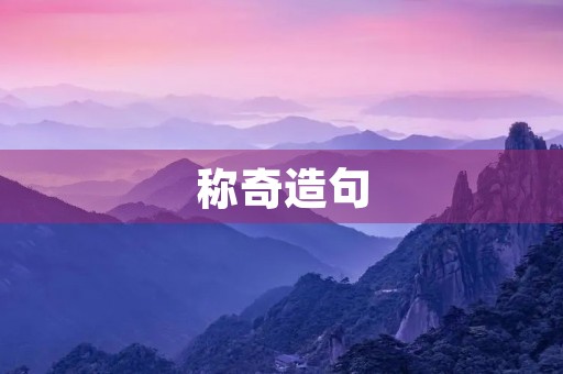 称奇造句