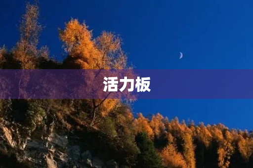 活力板