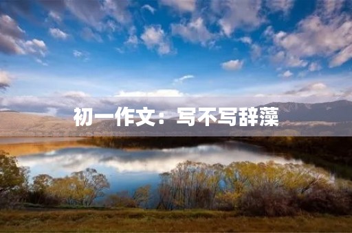 初一作文：写不写辞藻