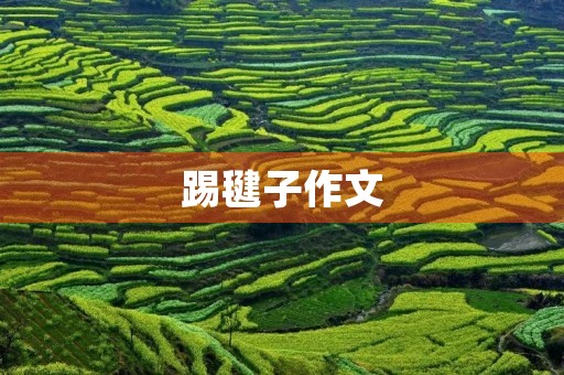 踢毽子作文 踢毽子作文