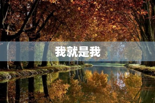 我就是我 我就是我