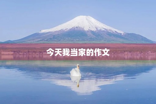 今天我当家的作文 今天我当家的作文