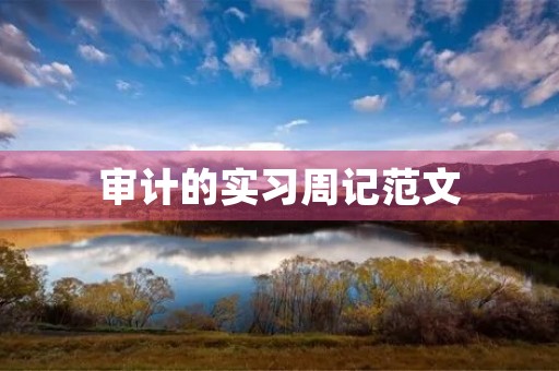 审计的实习周记范文