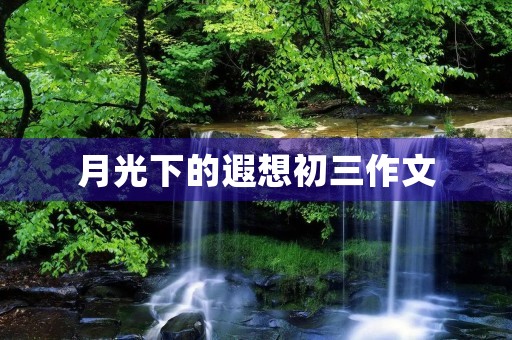 月光下的遐想初三作文 月光下的遐想初三作文