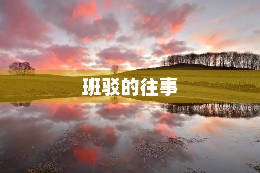 班驳的往事