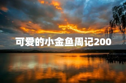 可爱的小金鱼周记200 可爱的小金鱼周记200