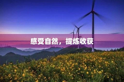 感受自然，提炼收获