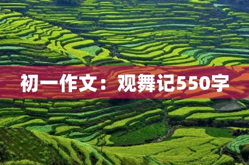 初一作文：观舞记550字