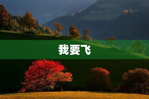 我要飞