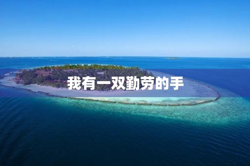我有一双勤劳的手 我有一双勤劳的手