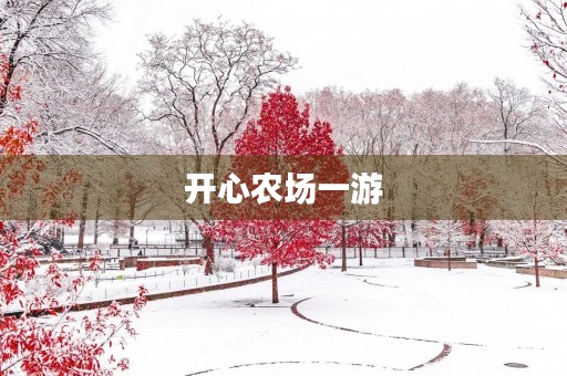 开心农场一游 开心农场一游