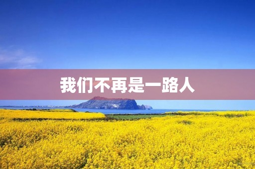 我们不再是一路人