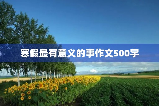 寒假最有意义的事作文500字