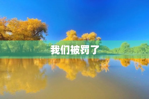 我们被罚了 我们被罚了