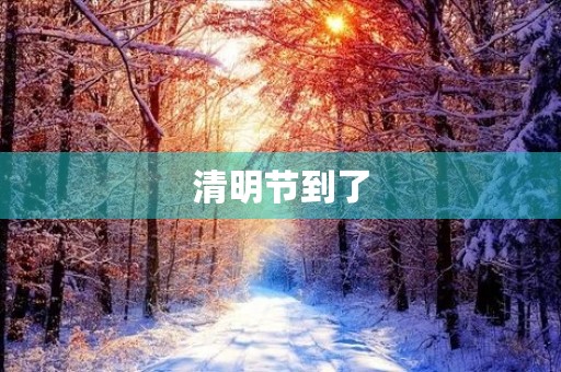 清明节到了 清明节到了