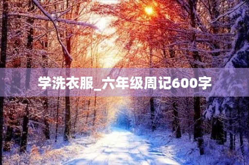 学洗衣服_六年级周记600字