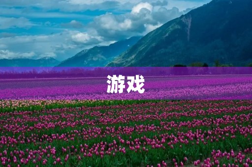 游戏 游戏