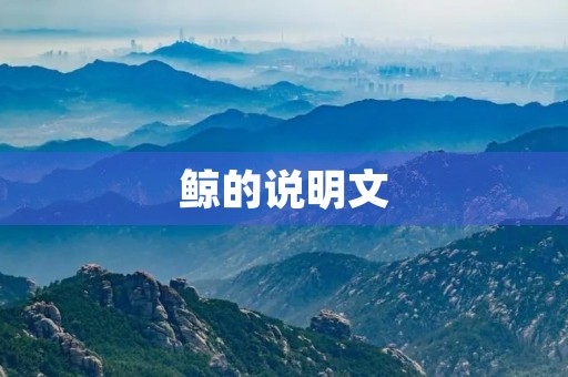 鲸的说明文