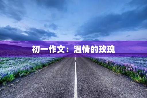 初一作文：温情的玫瑰