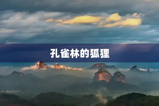 孔雀林的狐狸 孔雀林的狐狸
