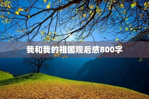 我和我的祖国观后感800字